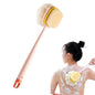 2-in-1 Long Handle Back Bath Brush