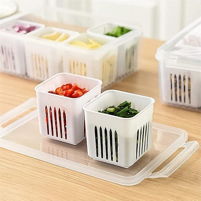 4-Grid Plastic Fridge Storage Box – Freezer Organizer Container for Vegetables & Kitchen Food Storage (Pack of 1)