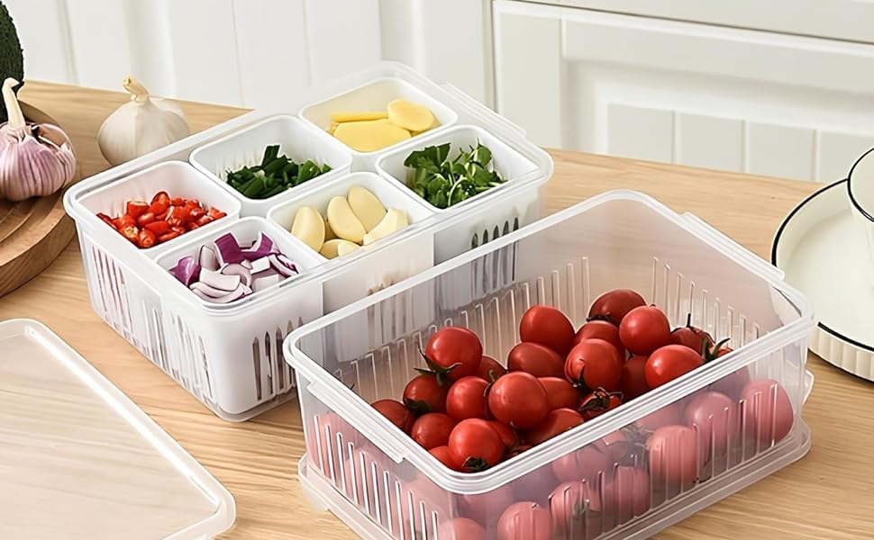 4-Grid Plastic Fridge Storage Box – Freezer Organizer Container for Vegetables & Kitchen Food Storage (Pack of 1)